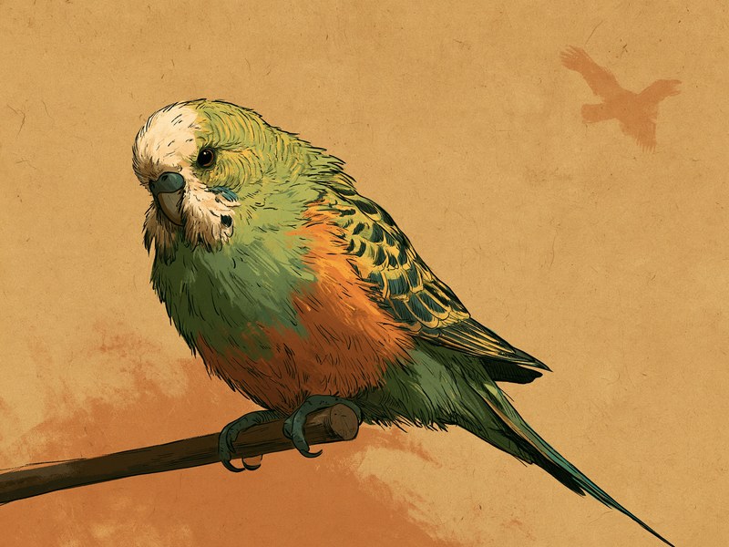 止まり木で羽を膨らませてじっとしているインコのイラスト